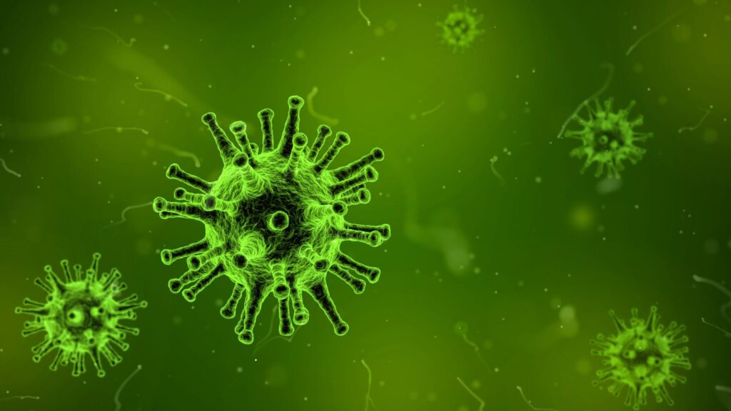 Herpesvirus